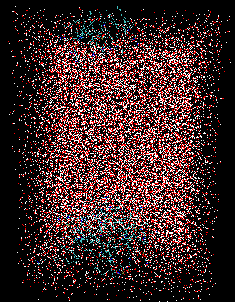 DPC micelle  .<br>DPC micelle composed of 56 lipids solvated with 15,196 SPC water .<br><br>Click to toggle size.